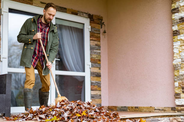  Toledo, IL Junk Removal Pros